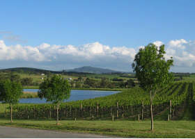Yarrawood Estate - Lismore Accommodation 0