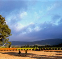 Mount Avoca - Lismore Accommodation