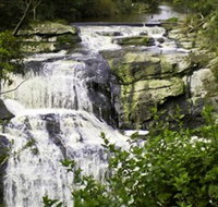 Agnes Falls Scenic Reserve - Lismore Accommodation