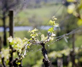 Kyneton Ridge Estate - Lismore Accommodation 0