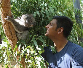 Healesville Sanctuary - Lismore Accommodation 0