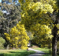 Wattle Park - Lismore Accommodation