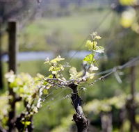 Eldridge Estate of Red Hill - Lismore Accommodation