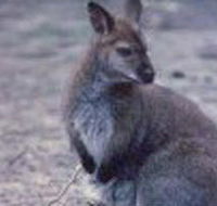 Churchill National Park - Lismore Accommodation