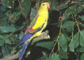 Nhill VIC Lismore Accommodation