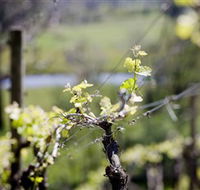 Main Ridge Estate - Lismore Accommodation