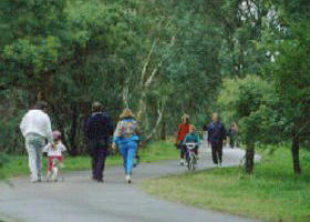 Birrarrung Park - Lismore Accommodation 0