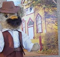 Stanley Bears - Lismore Accommodation