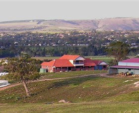 Bacchus Hill Winery - Lismore Accommodation 0