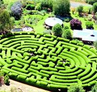 Wandiligong Maze - Lismore Accommodation