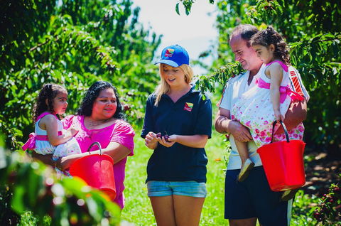 Cherryhill Orchards - Lismore Accommodation 1