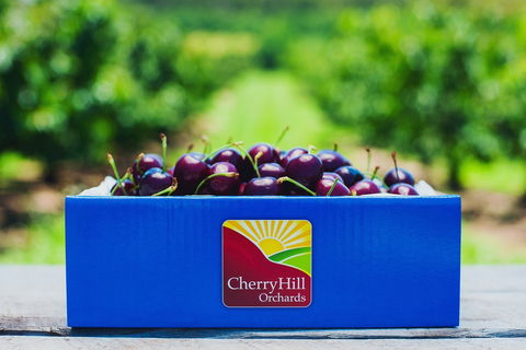 Cherryhill Orchards - Lismore Accommodation 8