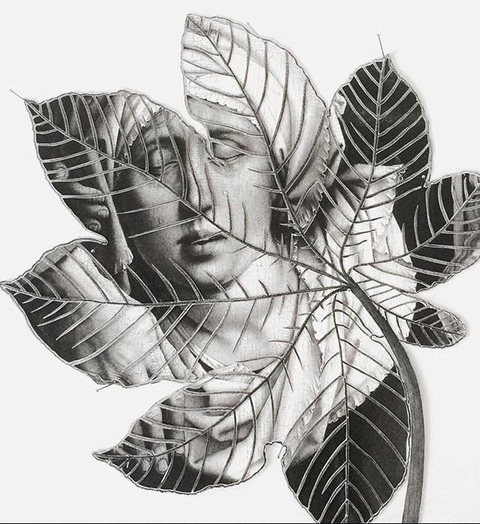 Wollongong Art Gallery - Lismore Accommodation 2