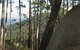 Gulaga National Park - thumb 0