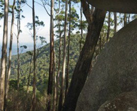 Gulaga National Park - Lismore Accommodation 0