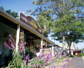 Passionfish Candles - Lismore Accommodation 0