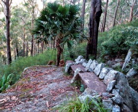 Wodi Wodi Walking Track