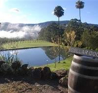 Yarrawa Estate - Lismore Accommodation