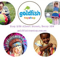 Goldfish Toy Shop - Lismore Accommodation