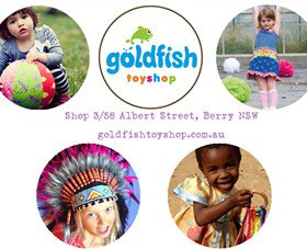 Goldfish Toy Shop - Lismore Accommodation 0