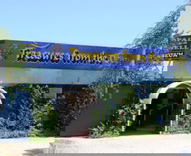 Treasures From The Deep - Opal And Shell Museum - Lismore Accommodation 0