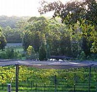 Lyrebird Ridge Organic Winery - Lismore Accommodation