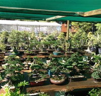 Bonsai at the Bay - Lismore Accommodation