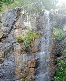 Wedding Bells Forest Drive - Lismore Accommodation 0