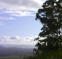 Sherwood Nature Reserve - Lismore Accommodation