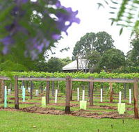 Douglas Vale Historic Homestead  Vineyard - Lismore Accommodation