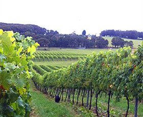 Exeter NSW Lismore Accommodation