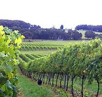 Banjo's Run Winery and Vineyard - Lismore Accommodation
