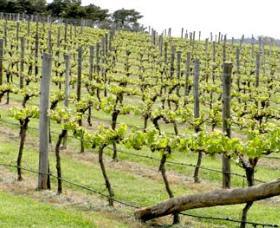 Millthorpe NSW Lismore Accommodation