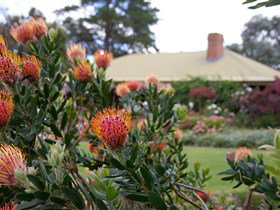 Lavina Wines - Lismore Accommodation 3