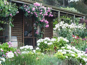 Lavina Wines - Lismore Accommodation 0