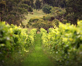 Clarkfield VIC Lismore Accommodation