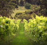 Merindoc Cafe and Cellar Door - Lismore Accommodation