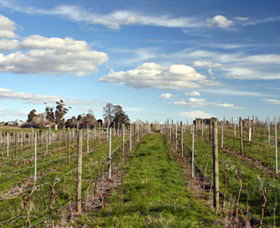 Rowanston On The Track Winery & Bed And Breakfast - Lismore Accommodation 1