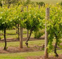 Mt Coghill Vineyard - Lismore Accommodation