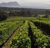 Bream Creek Vineyard - Lismore Accommodation