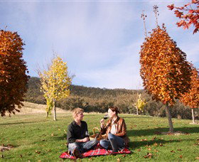 Gapsted Wines - Lismore Accommodation 5