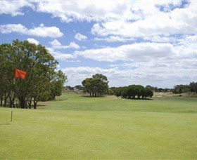 Curlewis Golf Club - Lismore Accommodation 1
