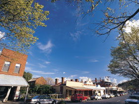 Drysdale Cheeses - Lismore Accommodation 1