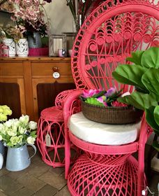 Van Loon's Nursery - Lismore Accommodation 3
