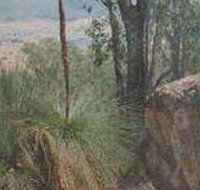Mount Lawson State Park - Lismore Accommodation