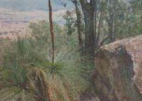 Mount Lawson State Park - Lismore Accommodation 0
