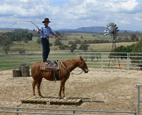 Boggy Creek Shows - Lismore Accommodation 0
