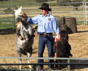 Boggy Creek Shows - Lismore Accommodation 2