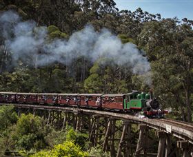 Puffing Billy Steam Railway - Lismore Accommodation 0