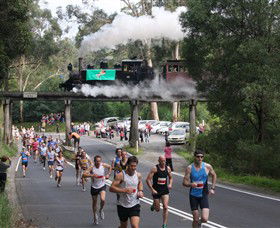 Puffing Billy Steam Railway - Lismore Accommodation 7